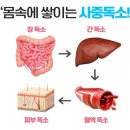 자연크린 이미지