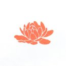 아마존 꽃 식물원 이미지