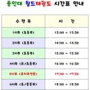 용인대 NO.1 태권도장 이미지