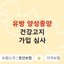 700고지 | 심사│질병수술비 암진단비│부담보 조건부│건강고지 표준 승인 후기│간편 상품 비교│약관 5년 전기간
