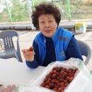 삼봉4리 마을회관 이미지