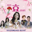 효콘서트 이미지