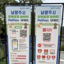 노브랜드 남양주 진접점 | 남양주 진접 반려견놀이터 후기, 드디어 남양주에도 생겼어요