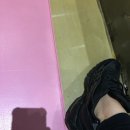 남뽕애견샵
