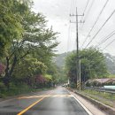 카페체크인 | 제천 포레스트 리솜 G50 빌라 클린 가족여행 얼리체크인 후기 (ft. 마묵라운지 카페)