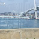 백사장해물칼국수