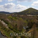 도란도란 투어코리아