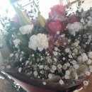 공마당길 이미지