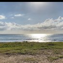 장사해수욕장 이미지