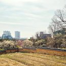 동춘당공원 맞은편 네이버블로그