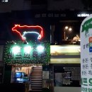 쉐프의목장 티스토리