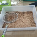 디케이지 카카오 검색결과