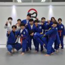 용인대 국가대표 유도관 이미지