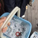 사랑이고 온천도 필수♨️ (용허또우장 단수이 흑전반점 스프링시티 리조트 하오지쉐이자오 시먼딩 야시장)