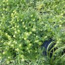 박정자농장 이미지