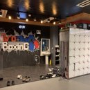 프로팀스타복싱 의왕점 이미지