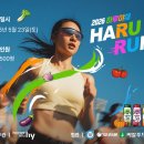 강화야채 스포츠동아