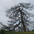 성당포구 이미지