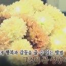 엘이디플라워뱅크
