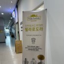 프리미엄 비건 헤어컬러 비건새치염색 빌라로도라 기와이발소