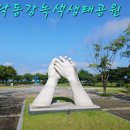 경북칠곡군석적읍 (낙동강녹색생태공원) 이미지