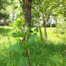 굴포초등학교 이미지