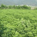 동천농장 이미지