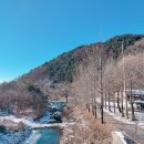 파인넛펜션 이미지