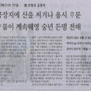 금장지 이미지