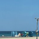 순환의 축복 | 1박 2일 동해 묵호 혼자 여행 일기 (2)