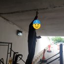 월봉청솔 이미지