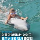드래곤태권도 | 밴쿠버 여행 필수 8월 행사 총정리! 2026년 여름 축제 TOP 5