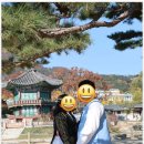 티나한복