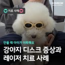 봄봄동물병원 네이버블로그