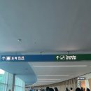 요가 A반 | [발리에서 생긴 일] Epilogue: 귀국날 ✈️ | 발리 요가 자격증 후기 | 요그만트라 TTC/YTT200