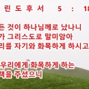 하늘생명나무