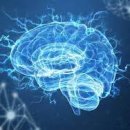 치매예방 기체조 이미지