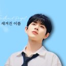 🌻 주요일정&투두리스트♡듀엣 콘서트🌿 서포트 모금 중 이미지