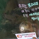 재리쥬 작은동물원 이미지