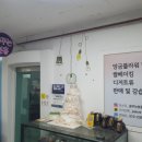꿈꾸는분홍 이미지