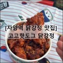 뚝섬한강공원-79 | 고고핫도그 닭강정 | 뚝섬한강공원 피크닉 가성비 맛집 포장