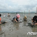 고창김밥 머니투데이