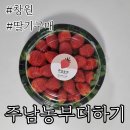 동읍206 | 창원 창원체험 딸기맛집 주남농부더하기 예약 방법, 가격