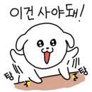 레인바우애견카페 이미지