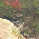 내린천솔밭민박 이미지