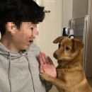 (주)은진투어 이미지