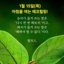 아침을 여는 건강한 에코힐링(글 전체보기는 글<b>주소</b> 클릭!)