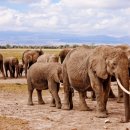 보은한의원 이미지