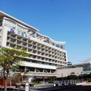 아르피나 이미지