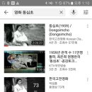 티티키 영화평 [2020-8]한국고전영화 신상옥감독의 &#34;동심초&#34; 좋았어요 최은희주연